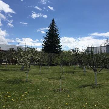 Фото номера Дом с 2 спальнями Дома для отпуска Apple Tree Family Home (ECO) г. Dzorakap 55