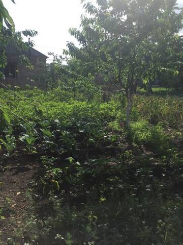Фото номера Дом с 2 спальнями Дома для отпуска Apple Tree Family Home (ECO) г. Dzorakap 50
