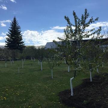 Фото номера Дом с 2 спальнями Дома для отпуска Apple Tree Family Home (ECO) г. Dzorakap 56