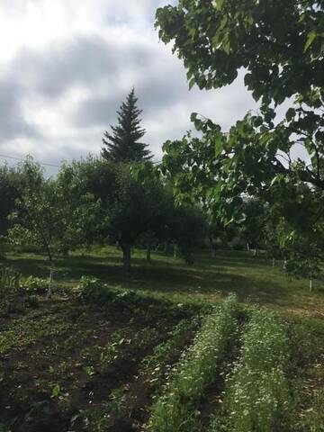 Фото номера Дом с 2 спальнями Дома для отпуска Apple Tree Family Home (ECO) г. Dzorakap 34