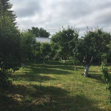 Фото номера Дом с 2 спальнями Дома для отпуска Apple Tree Family Home (ECO) г. Dzorakap 31