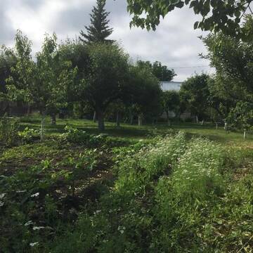 Фото номера Дом с 2 спальнями Дома для отпуска Apple Tree Family Home (ECO) г. Dzorakap 32