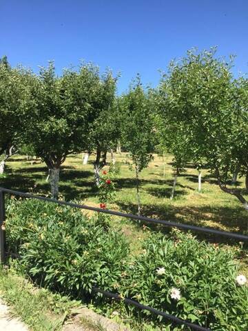 Фото номера Дом с 2 спальнями Дома для отпуска Apple Tree Family Home (ECO) г. Dzorakap 80