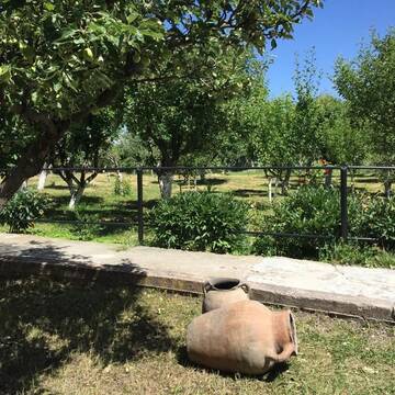 Фото номера Дом с 2 спальнями Дома для отпуска Apple Tree Family Home (ECO) г. Dzorakap 88