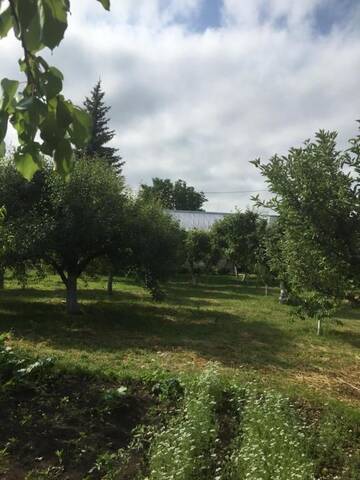 Фото номера Дом с 2 спальнями Дома для отпуска Apple Tree Family Home (ECO) г. Dzorakap 42