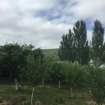 Фото номера Дом с 2 спальнями Дома для отпуска Apple Tree Family Home (ECO) г. Dzorakap 38
