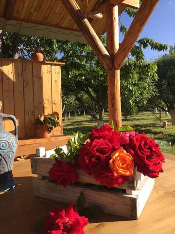 Фото номера Дом с 2 спальнями Дома для отпуска Apple Tree Family Home (ECO) г. Dzorakap 6